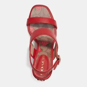 【COACH】Rori Sandal★日本未発売★送料無料!! Rare Authentic Coach Rori Leather 3 1/2“ Sandal Black size 7